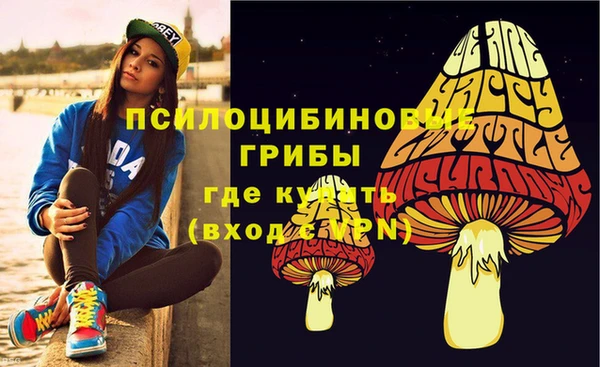 альфа пвп Надым