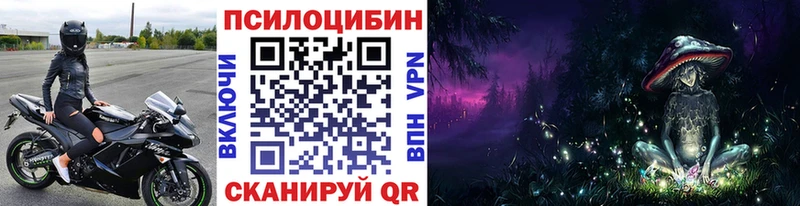 Псилоцибиновые грибы Psilocybe  Канск 