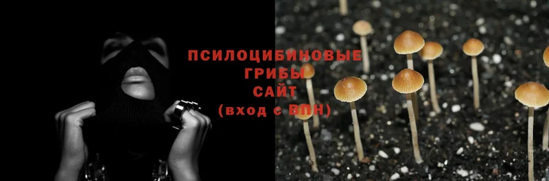 mega сайт  где купить   Канск  Псилоцибиновые грибы Magic Shrooms 