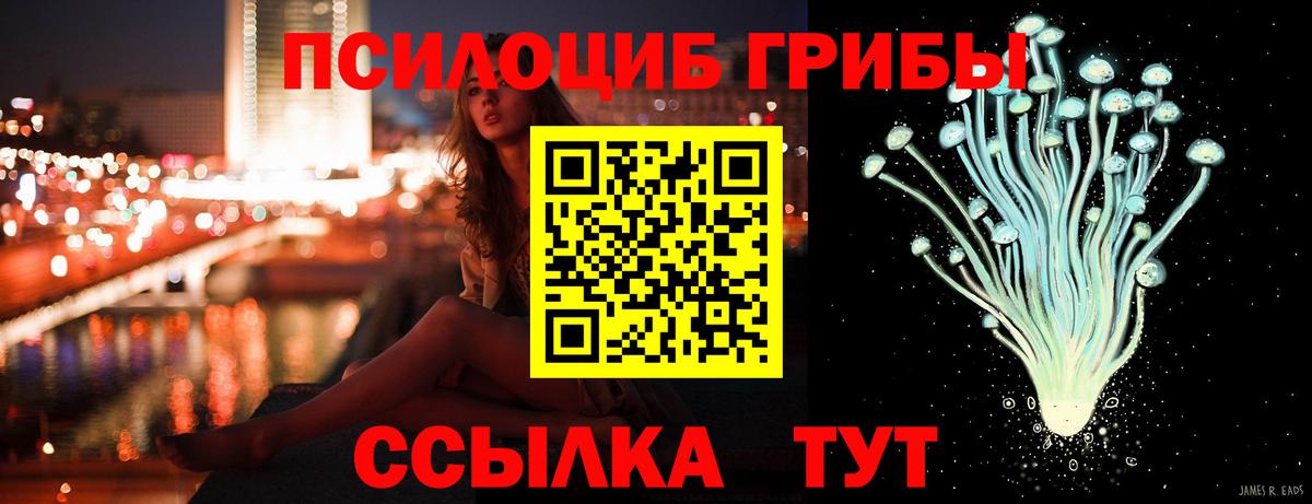 где можно купить   Псилоцибиновые грибы Psilocybe  Вход с VPN  Псилоцибиновые грибы Magic Shrooms  Канск 